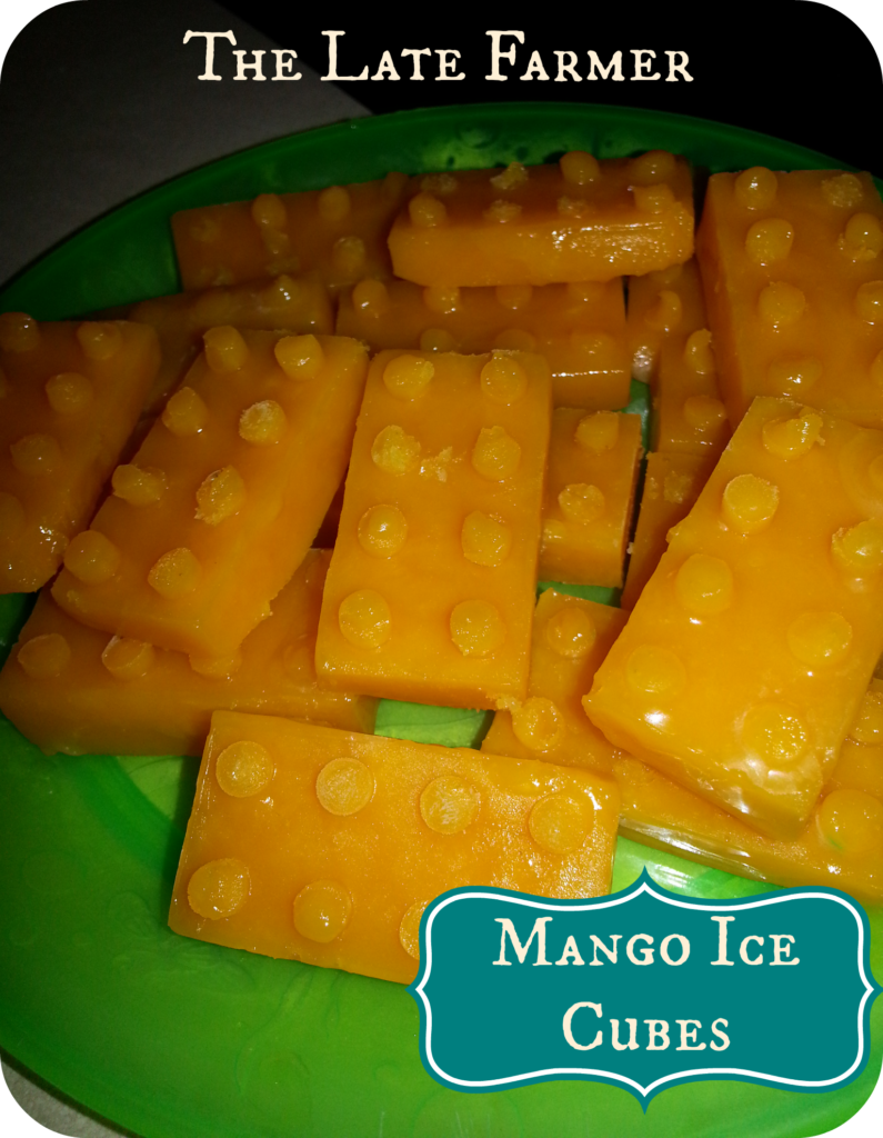 Lego Mango Ice Cubes