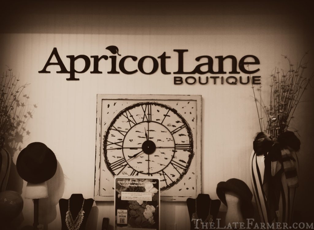 Apricot Lane - TheLateFarmer.com Inside