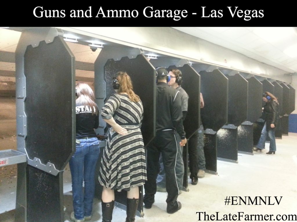 Guns and Ammo Garage - Range - TheLateFarmer.com