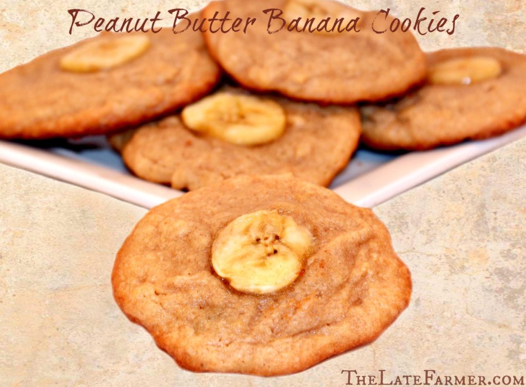 Peanut Butter Banana Cookies
