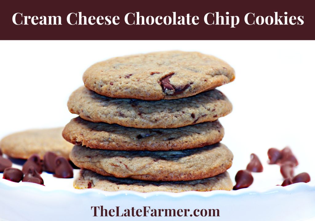 Cream Cheese Chocolate Chip Cookies